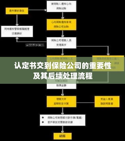 认定书对保险公司的重要性及后续处理流程详解-图1 认定书对保险公司的重要性及后续处理流程详解-图1