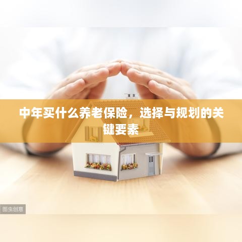 中年养老保险选择与规划的关键要素解析-图1 中年养老保险选择与规划的关键要素解析-图1
