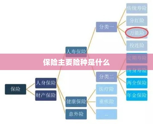 保险主要险种简介与概述-图1