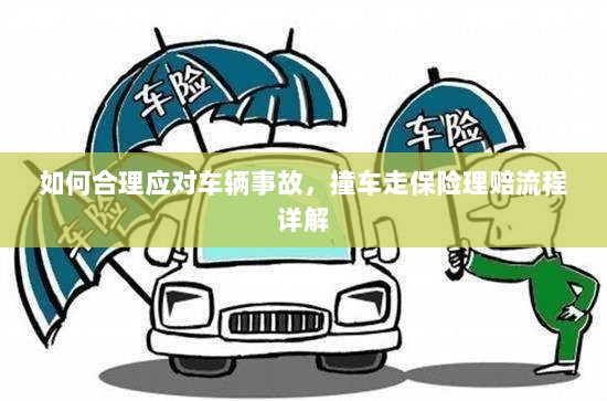 车辆事故应对指南,撞车走保险理赔流程详解-图1 车辆事故应对指南,撞车走保险理赔流程详解-图1