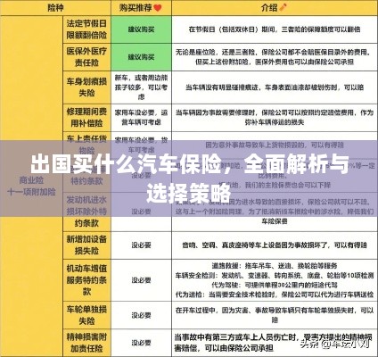 全面解析与选择策略,出国应购买哪些汽车保险?-图1 全面解析与选择策略,出国应购买哪些汽车保险?-图1