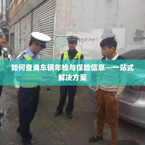 一站式查询车辆年检与保险信息指南-图1