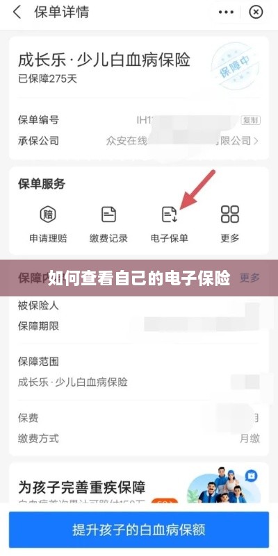 如何查看个人电子保险保单详情-图1 如何查看个人电子保险保单详情-图1