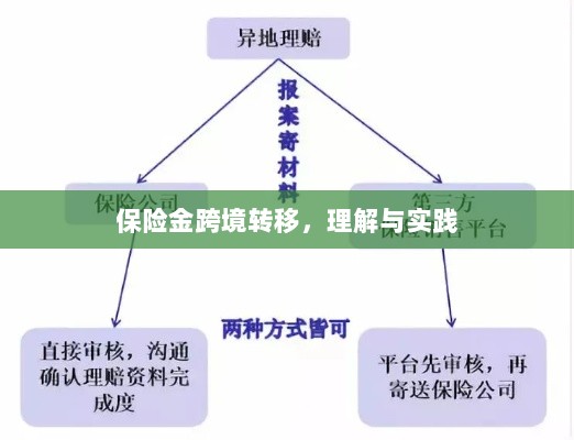 保险金跨境转移,理解与实践指南-图1 保险金跨境转移,理解与实践指南-图1