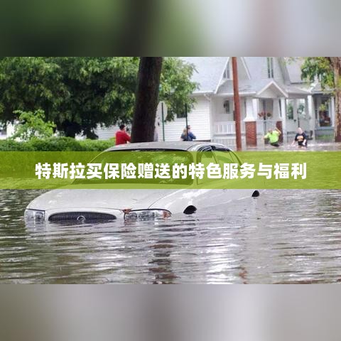 特斯拉保险特惠,独家特色服务与丰厚赠品等你来享-图1 特斯拉保险特惠,独家特色服务与丰厚赠品等你来享-图1