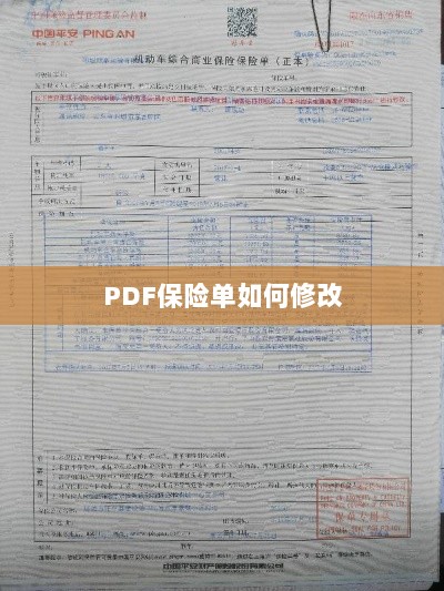PDF保险单修改指南-图1