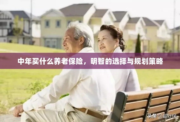 中年明智之选,养老保险的规划与策略-图1 中年明智之选,养老保险的规划与策略-图1