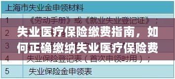 失业医疗保险缴费详解，如何正确缴纳费用指南-图1