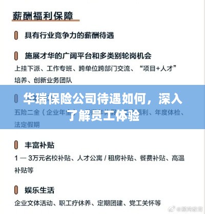 华瑞保险公司员工待遇与体验深度解析-图1