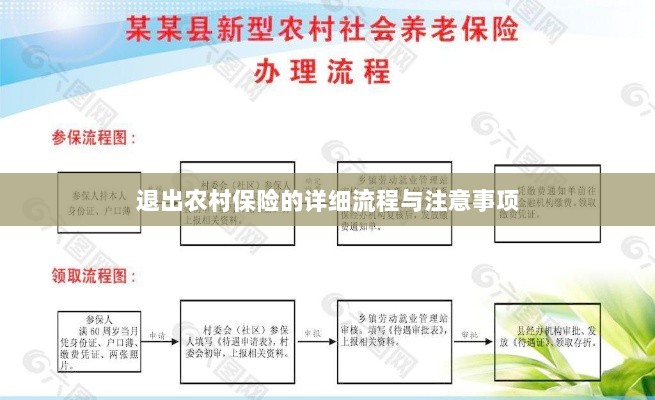 退出农村保险的详细流程与注意事项全解析-图1 退出农村保险的详细流程与注意事项全解析-图1