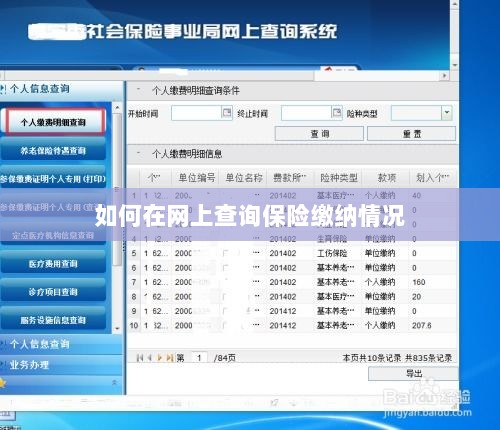 网上查询保险缴纳情况攻略-图1