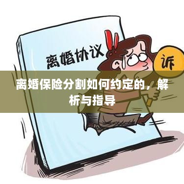 离婚保险分割约定详解与指导手册-图1