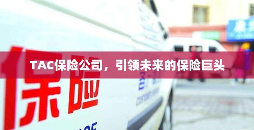 TAC保险公司,引领保险行业未来巨头之路-图1 TAC保险公司,引领保险行业未来巨头之路-图1