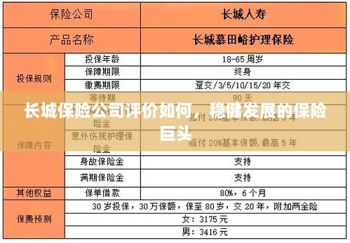 长城保险公司评价及稳健发展的保险巨头概况-图1