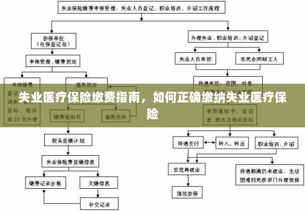 失业医疗保险缴费详解,正确缴纳失业医疗保险的步骤与指南-图1 失业医疗保险缴费详解,正确缴纳失业医疗保险的步骤与指南-图1