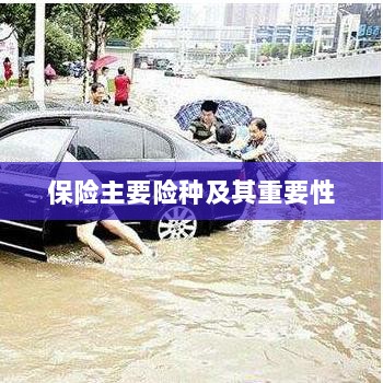 保险主要险种及其重要性概览-图1