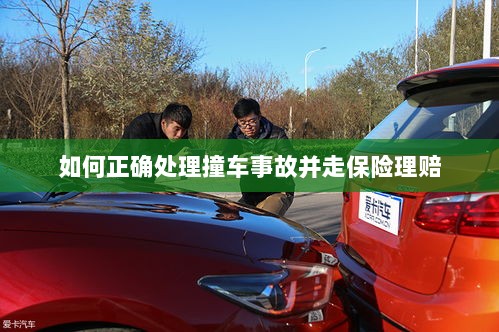 撞车事故处理指南,保险理赔流程详解-图1 撞车事故处理指南,保险理赔流程详解-图1
