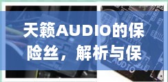 天籁AUDIO保险丝，解析与音频系统保护的关键要素-图1