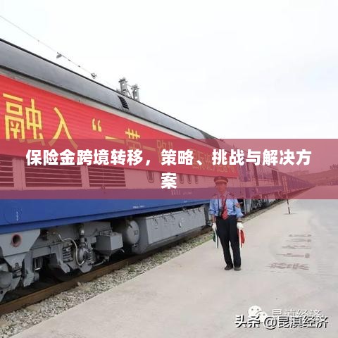 保险金跨境转移,策略、挑战及解决方案探讨-图1 保险金跨境转移,策略、挑战及解决方案探讨-图1