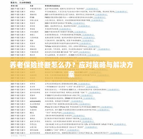 养老保险中断应对指南，解决方案与策略探讨-图1