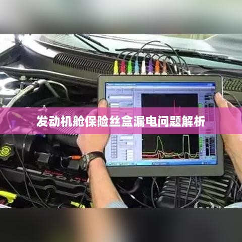 发动机舱保险丝盒漏电问题深度解析-图1