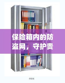 保险箱内防盗网,守护贵重物品的安全防线-图1 保险箱内防盗网,守护贵重物品的安全防线-图1