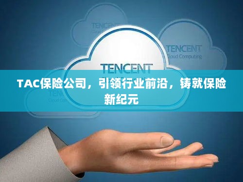 TAC保险公司，行业先锋，开创保险新纪元-图1