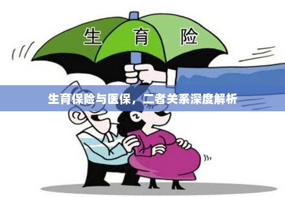 生育保险与医保的关系深度探讨与解析-图1 生育保险与医保的关系深度探讨与解析-图1