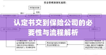 认定书交到保险公司的必要性与流程深度解析-图1 认定书交到保险公司的必要性与流程深度解析-图1
