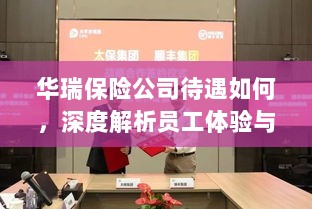 华瑞保险公司员工待遇与福利深度解析-图1