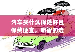 如何明智选择汽车保险，低成本、全面保障的选择与策略-图1