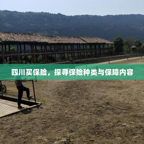 四川保险探秘,种类与保障内容全解析-图1 四川保险探秘,种类与保障内容全解析-图1