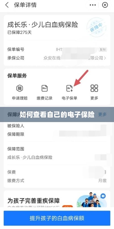 如何查看个人电子保险保单详情-图1