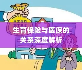 生育保险与医保关系的深度探讨-图1