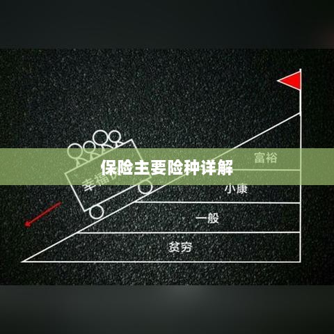 保险主要险种详解概览-图1
