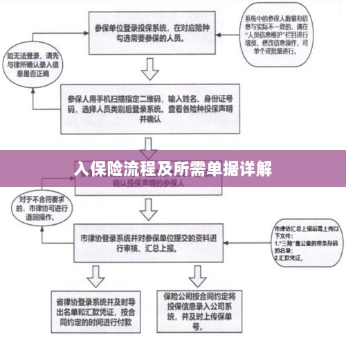 保险投保流程与所需单据全面解析-图1