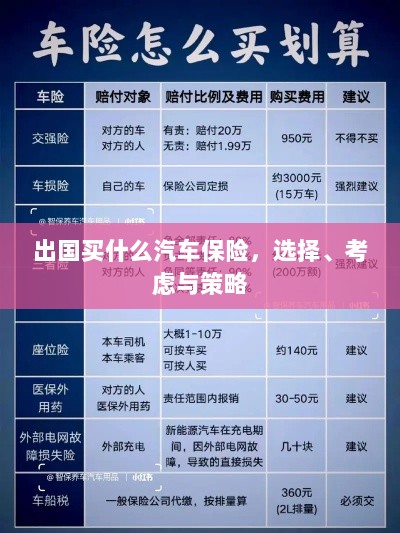出国购车保险指南，选择、考虑与策略全解析-图1