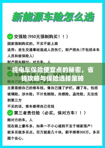 纯电车保险省钱攻略，如何挑选更便宜的保险与保险选择策略-图1