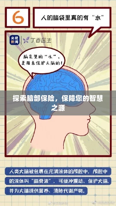 探索脑部保险，守护智慧之源的保障之道-图1