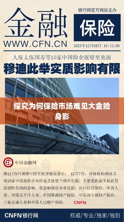 大金险在保险市场难觅踪迹的探究-图1 大金险在保险市场难觅踪迹的探究-图1