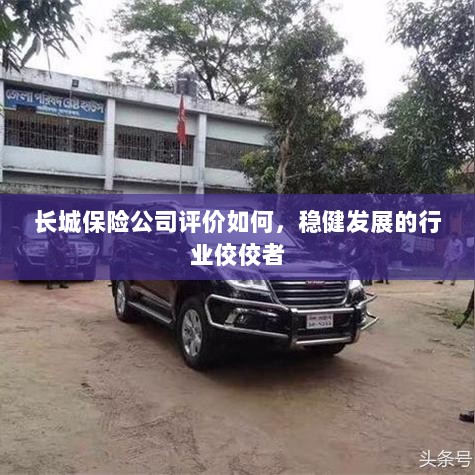 长城保险公司评价积极,行业稳健发展的佼佼者-图1 长城保险公司评价积极,行业稳健发展的佼佼者-图1