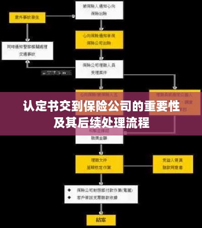 认定书对保险公司的重要性及后续处理流程详解-图1 认定书对保险公司的重要性及后续处理流程详解-图1
