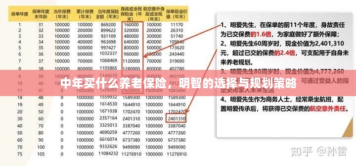中年明智之选,养老保险的规划与策略-图1 中年明智之选,养老保险的规划与策略-图1