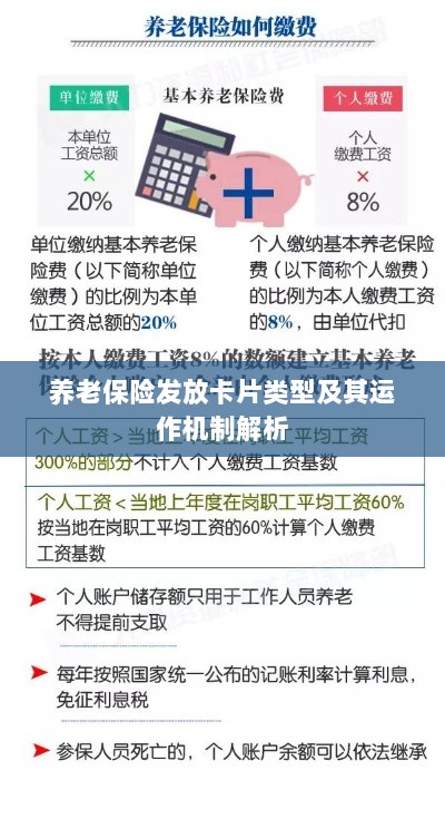 养老保险发放卡片类型与运作机制深度解析-图1