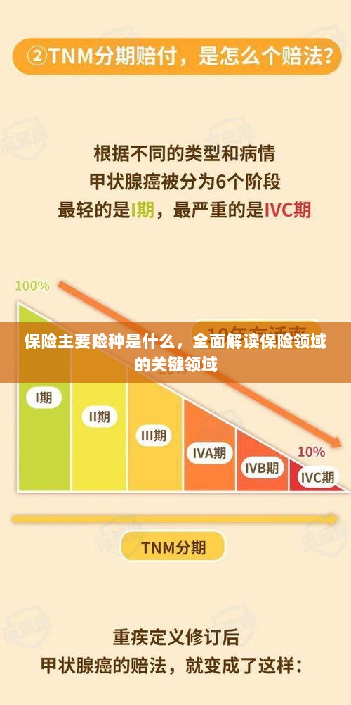 全面解读保险领域关键领域,主要险种一览无余-图1 全面解读保险领域关键领域,主要险种一览无余-图1