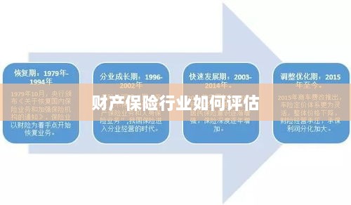 财产保险行业评估方法与策略解析-图1
