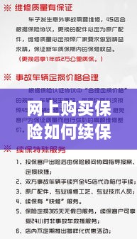 网上购买保险的续保指南，全面解析保险续保流程-图1