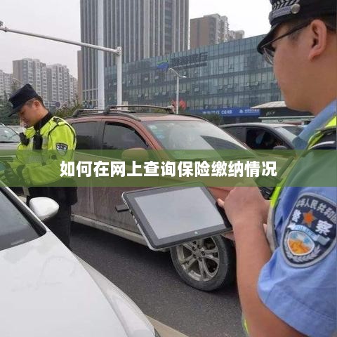 网上查询保险缴纳情况攻略-图1