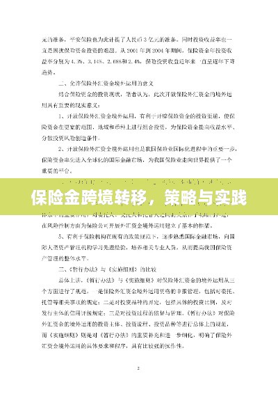 保险金跨境转移的策略与实践探讨-图1 保险金跨境转移的策略与实践探讨-图1