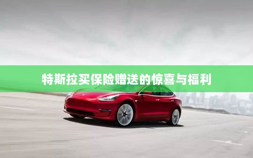 特斯拉保险购买赠品与惊喜福利概述-图1 特斯拉保险购买赠品与惊喜福利概述-图1
